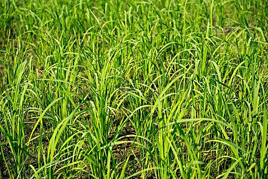 《那由多之轨迹：星之彼方》Switch版新演示 中文同步5月26日发售